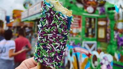 5 things you should eat at the South Florida Fair this year!