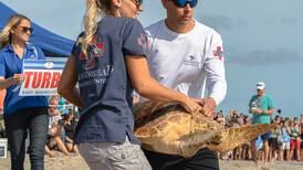 Loggerhead Marinelife Center offering daily virtual classroom sessions